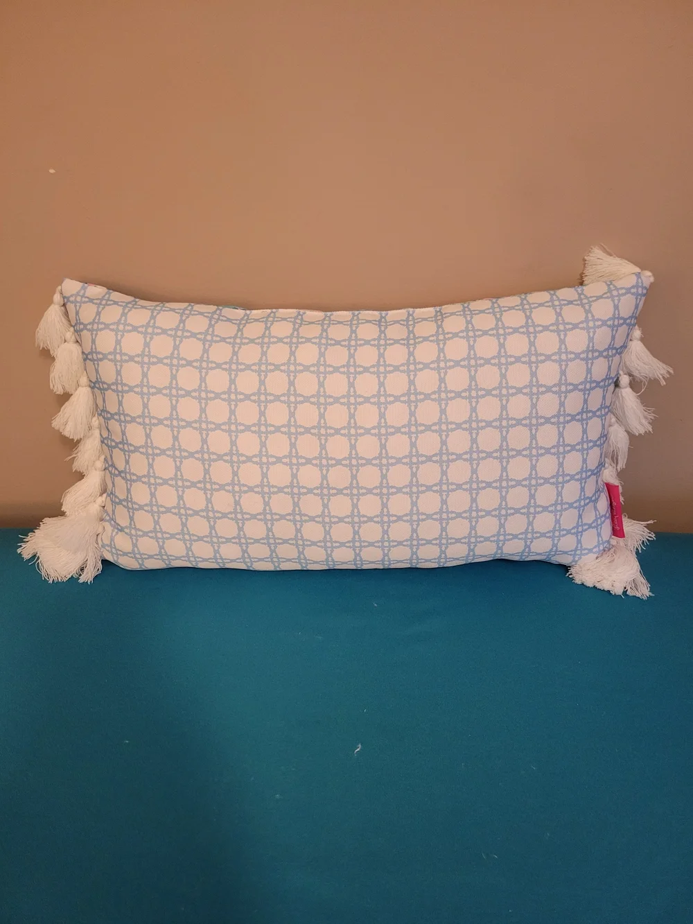 Lilly Pulitzer Sea Life Print Tassel Pillow